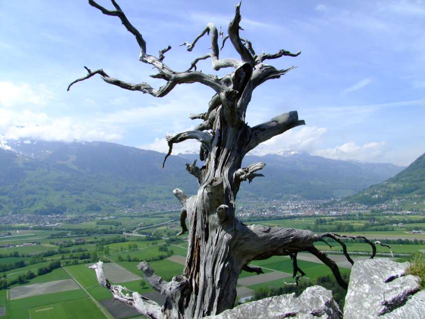 Pizol & Umgebung Pizol & Umgebung